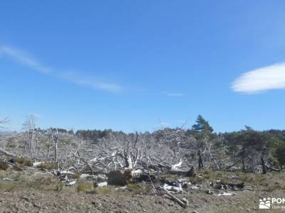 Perdiguera (El Marraz) - Altos de la Morcuera; excursiones desde toledo escapada tematica accesorios